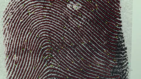 Modern computer display with abstract graphic fingerprint sketch Video stock 231741862