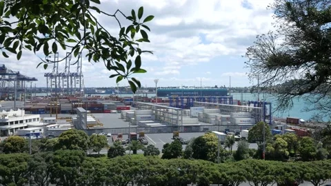 Modern container port in action Stock Footage 232080726