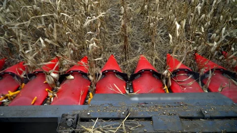 Modern Corn Harvester Header in Action Stock Footage 305395308