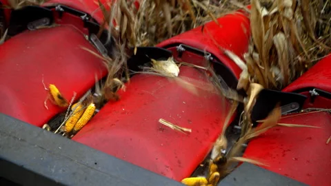 Modern Corn Harvester Header in Action Stock Footage 305395442