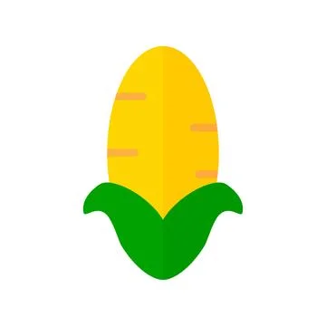 Modern corn icon. Maize. Vector. Stock Illustration