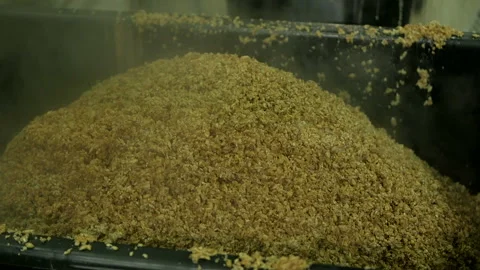 Modern Craft Brewery. Stock Footage 89851850