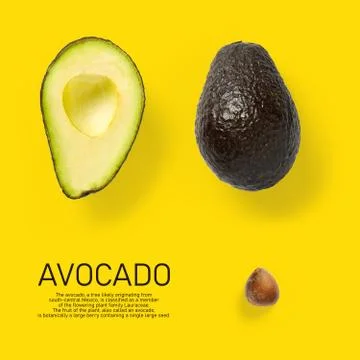 Modern creative avocado collage with simple text on solid color background. A Stock Photos