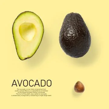 Modern creative avocado collage with simple text on solid color background. A Stock Photos