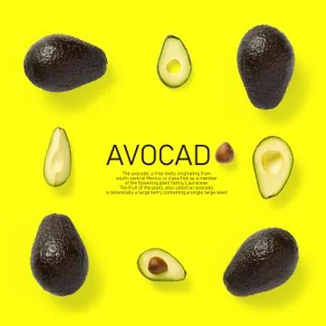 Modern creative avocado collage with simple text on solid color background. A Stock Photos