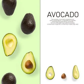 Modern creative avocado collage with simple text on solid color background. A Stock Photos