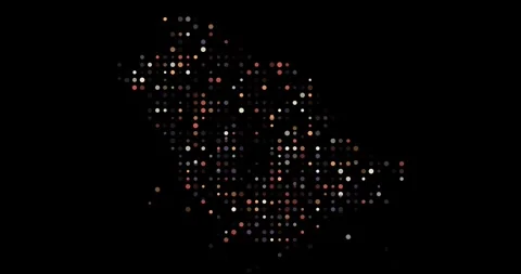 Modern Digital Circles Shape Saudi Arabia Stock Footage 317008544