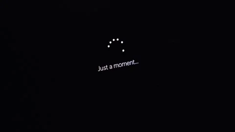 Modern digital computer screen displaying a loading animation with the text.. Stock Footage 314389069