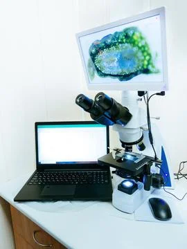 Modern digital microscope equipped with camera, computer in laboratory 스톡 사진