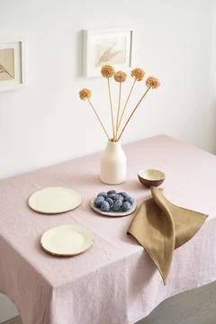 Modern dining table setting. Only natural materials - earthenware, linen Stock Photos