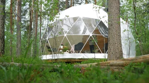 Modern dome tent in a dense forest Video stock 113260257
