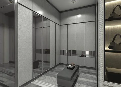 Modern Dressing Room Interior Design Stock Illustration