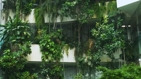Modern eco-friendly shopping mall building facade with vertical garden, green Stock Footage 315845802