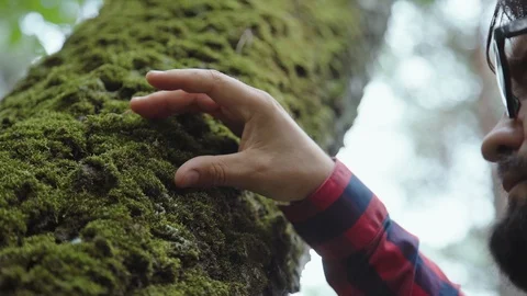 A modern ecologist in glasses takes samples of moss from a tree. Stock Footage 95286704