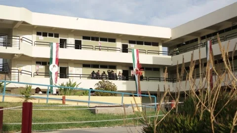 Modern Educational Building Facade Vídeos de archivo 258005045