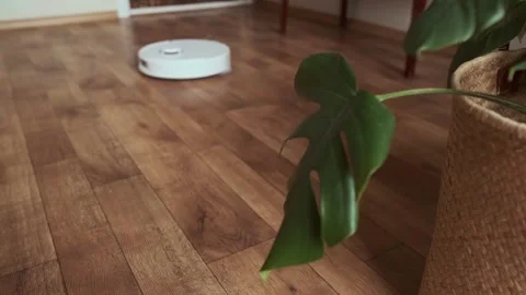 Modern effortless cleaning robot vacuum cleans the floor in a bright home Stock Footage 314641581