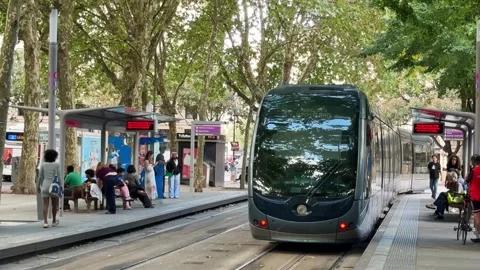 Modern electric tram running through a picturesque canopy of trees in Bordeaux Stock Footage 344857675