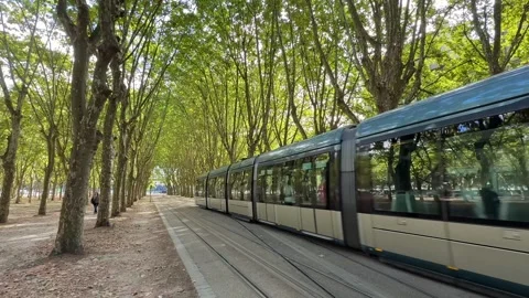 Modern electric tram running through a picturesque canopy of trees in Bordeaux Stock Footage 344857863