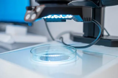 A modern electronic microscope for examing samples in Petri dish in the Stock Photos