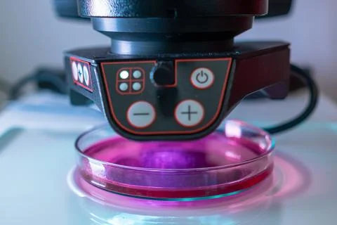 A modern electronic microscope for examing samples in Petri dish in the Stock Photos