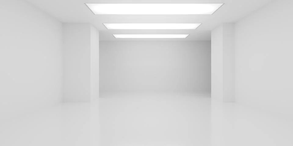Modern empty minimal white room or gallery with large rectangular ceiling l.. Stock Illustration