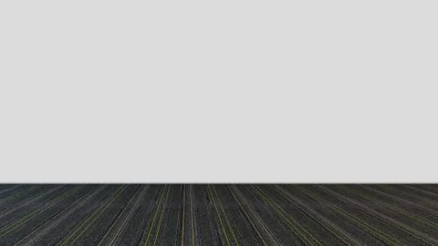 Modern Empty Room, 3D render interior design, mock up illustration Stock Illustration