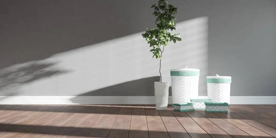 Modern empty room with white boxes and plant in pot.jpg Modern interior de... Stock Photos