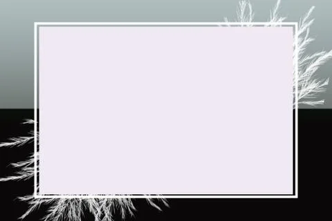 Modern Empty White Rectangle Frame With Feathers On Gradient Background Stock Illustration