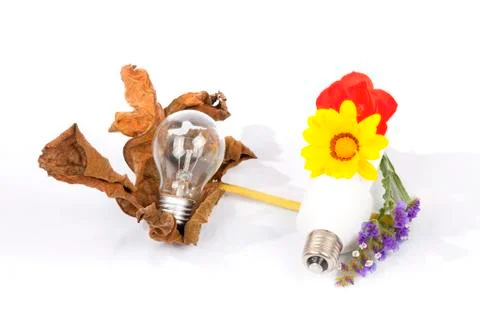 Modern energy saving light bulb and old low-efficiency bulb. Stock Photos