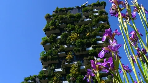 A modern engineeristic building of Milan called Vertical Wood Video stock 109171620