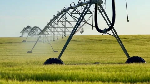 Modern environmentally friendly irrigation system on green crops in Kabusa, Stock Footage 337854845