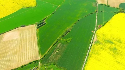 Modern farm. Stock Footage 75766260
