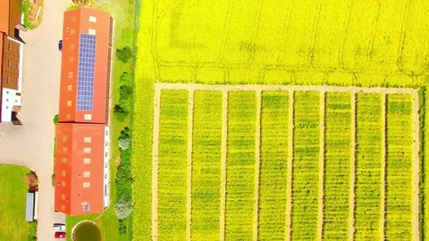 Modern farm. Stock Footage 75769401