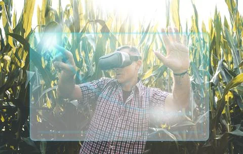 Modern farmer businessman while analyzing the growth trend of the products Stock Photos