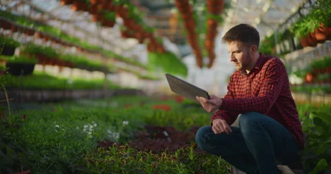 Modern Farmer Controls Irrigation System in Greenhouse Stock Footage 308133058