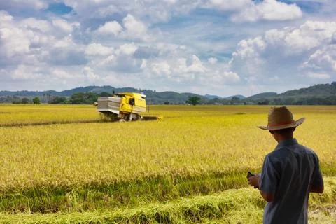 Modern farmer Stock Photos