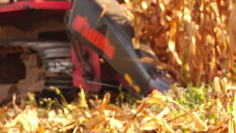 Modern farmers need a convenient corn harvester Stock Footage 144649989