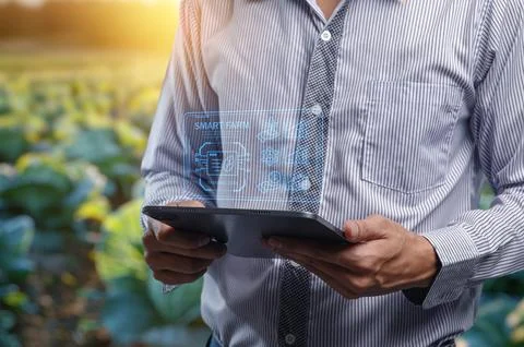 Modern Farming Using Smart Technology for Efficient Agriculture Stock Photos