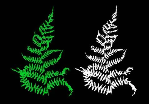  modern fern design in solid green and white colors on a black background ... Foto stock