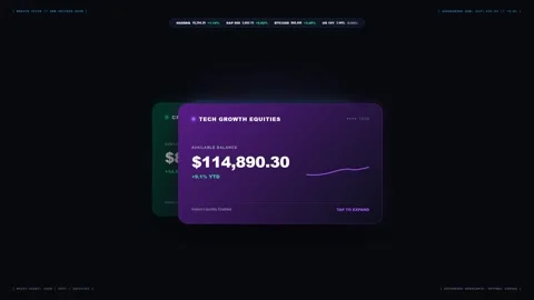 Modern Financial App Dark-Mode Dashboard Card Stack Shuffle with 4K Loop Stock Footage 346539862