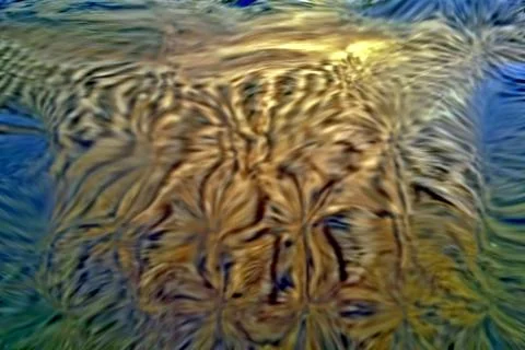 Modern fine art, computer digital graphics, india, asia India Copyright: x... Stock Photos