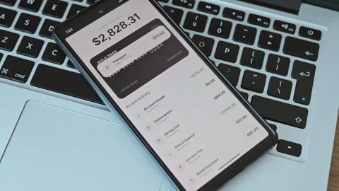 Modern fintech app on a smartphone screen showing virtual asset balance Stock Footage 337998286