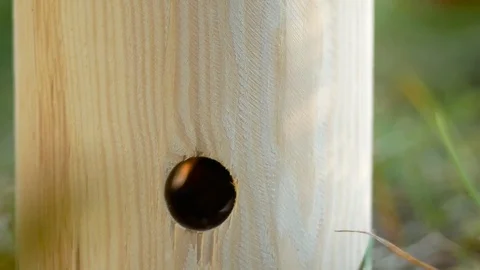 Modern fire from the billet Stock Footage 81768154