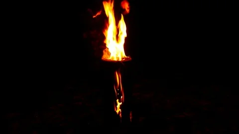 Modern fire from the log Stock Footage 83736687
