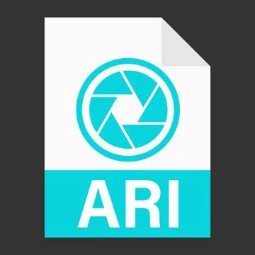 Modern flat design of ARI file icon for web Stock Illustration