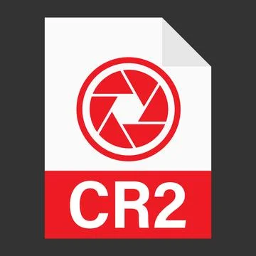 Modern flat design of CR2 file icon for web Stock Illustration