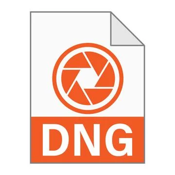 Modern flat design of DNG file icon for web Stock Illustration