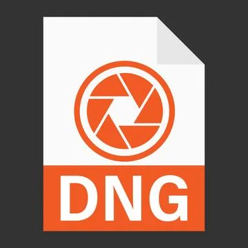 Modern flat design of DNG file icon for web Stock-Illustration