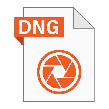 Modern flat design of DNG file icon for web Stock Illustration