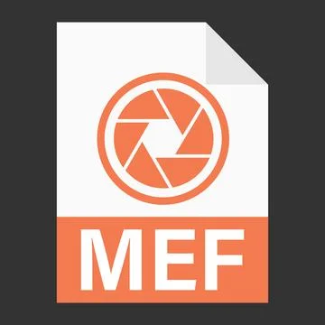 Modern flat design of MEF file icon for web Stock Illustration